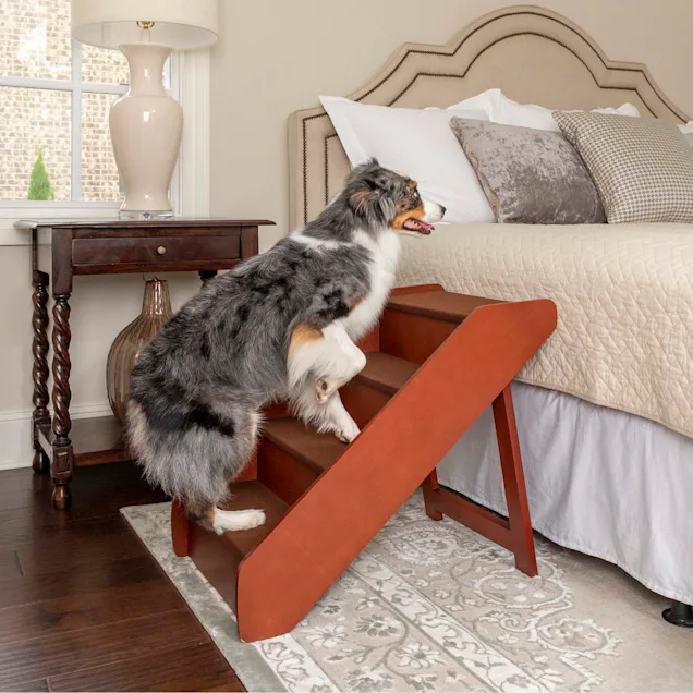 Dog Ramps, Stairs and Steps