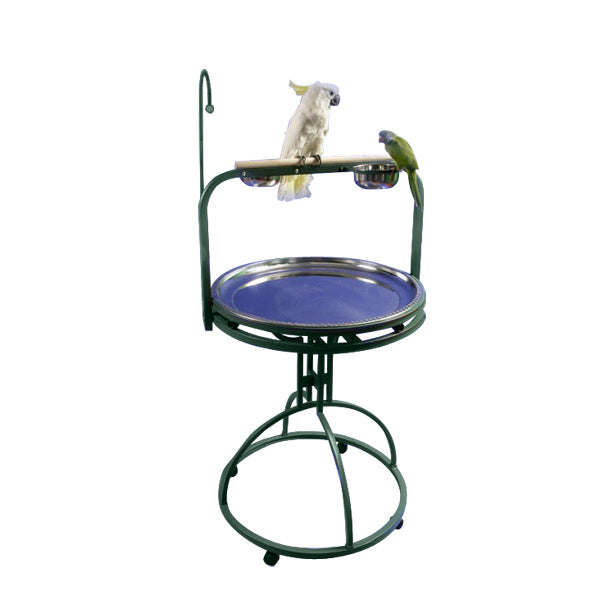 Products For Pet Birds