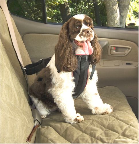 Pet Car Travel Accessories