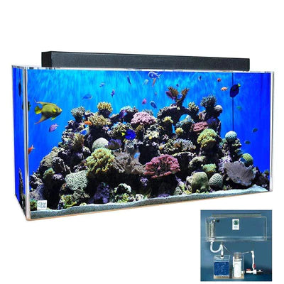 Clear-for-Life Deluxe All-In-One Aquarium