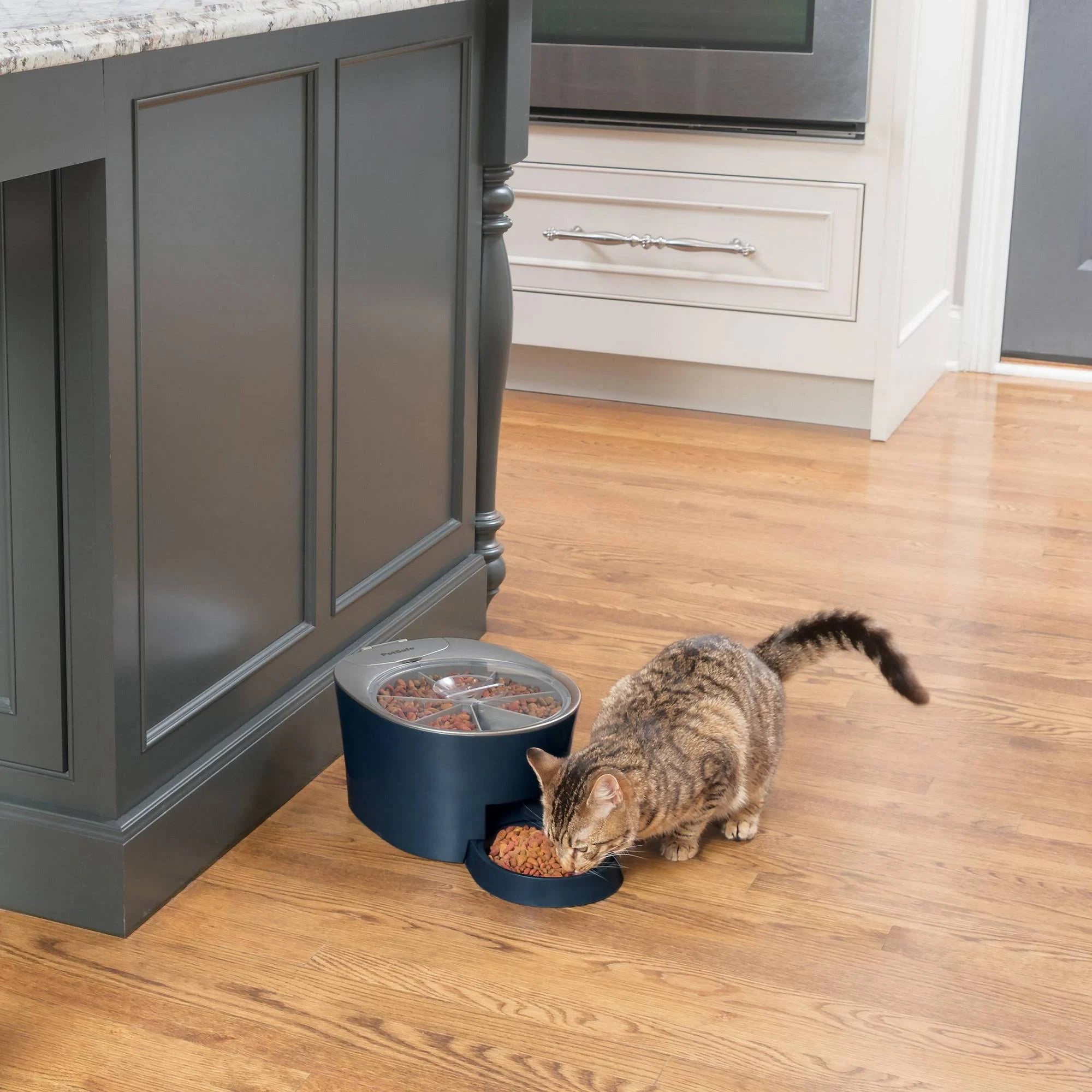 Petsafe six meal sales automatic pet feeder